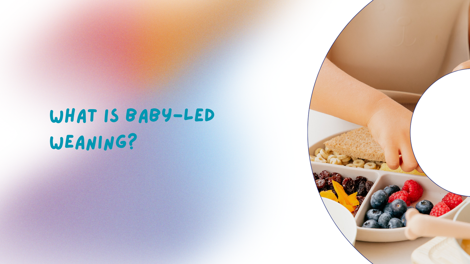 What is Baby-Led Weaning? Meaning, Examples, Benefits & First Foods